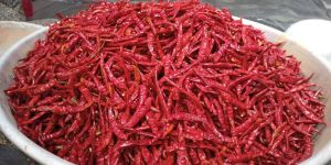 Dry Red Chilli