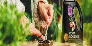Root Booster