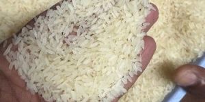IR 64 Rice