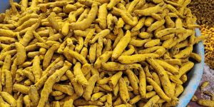 Salem Turmeric