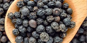 Black Pepper Seeds