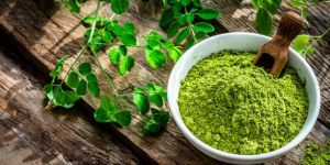 Moringa Leaves Powder