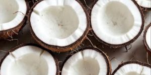 a Grade Semi Husked Coconut