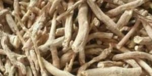 Ashwagandha Root