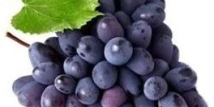 Fresh Black Grapes