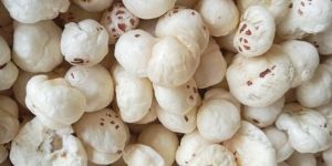 5 Suta Makhana