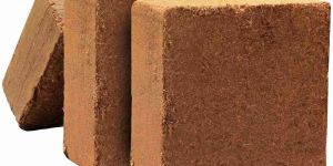 Golden Coir Pith Block