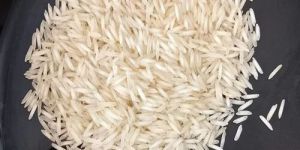 Pusa Basmati Rice