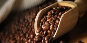 Roasted Coffee Bean
