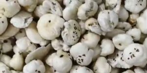 Chapta Batasha Makhana Wastage