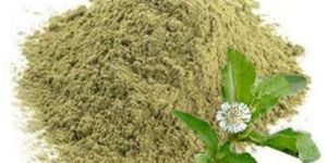 Bhringraj Powder