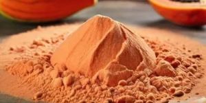 Papaya Powder