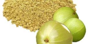 Seeded Amla Powder