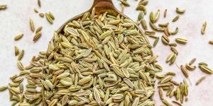 Fennel Seed