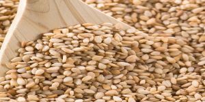 Sesame Seed