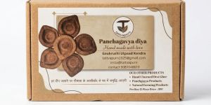 Panchgavya Diya