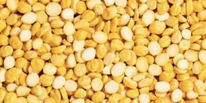Split Chana Dal