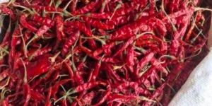 Dry Red Chilli
