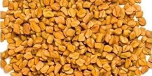 Methi Seeds