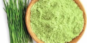 Premium Wheatgrass Powder
