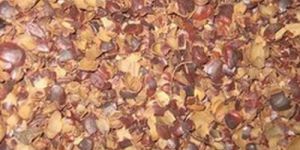 Tamarind Flakes