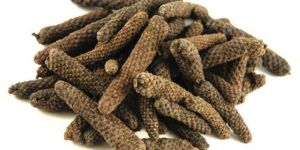 Long Pepper