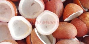 Dried Copra Coconut