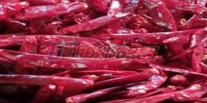 Wonder Hot Stemless Red Chilli