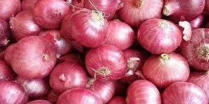 Nashik Fresh Pink Onion