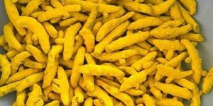 Natural Dry Turmeric Finger