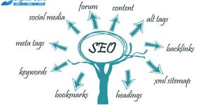 Search Engine Optimization Services