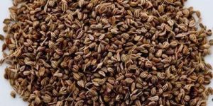 Carom Seeds