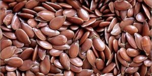 Flax Seeds