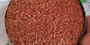 Red Rice