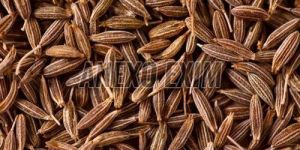 Singapore Cumin Seeds