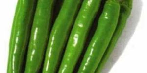 Fresh Green Chilli