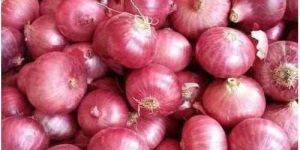 Fresh Pink Onion