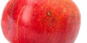 Fresh Red Pomegranate