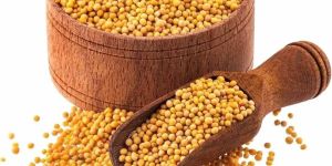 Yellow Mustard Seed