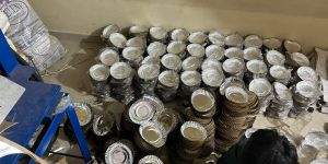 Disposable Plastic Plates