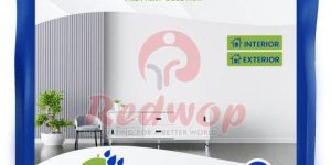 Wall Putty