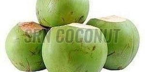 Natural Tender Coconut