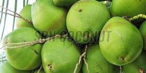 Organic Tender Coconut
