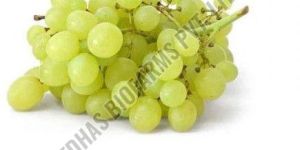 Fresh Green Grapes