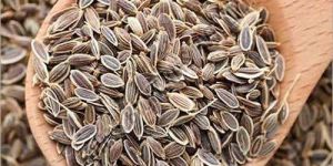 Premium Dill Seeds