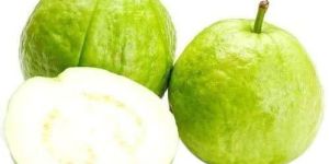 Fresh White Guava