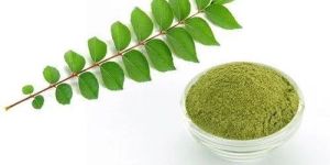 Curry Leaves Powder