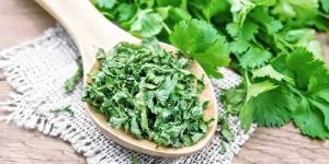 Dried Coriander Leaves