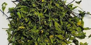 Dried Mint Leaves