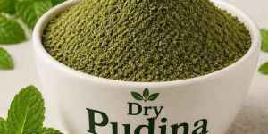 Dry Mint Powder